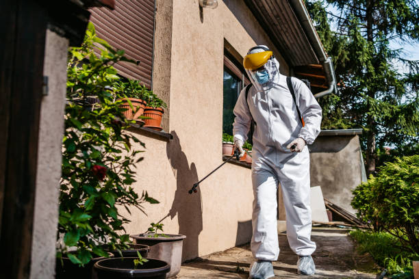 Best Termite Control Services  in Quail Ridge, FL
