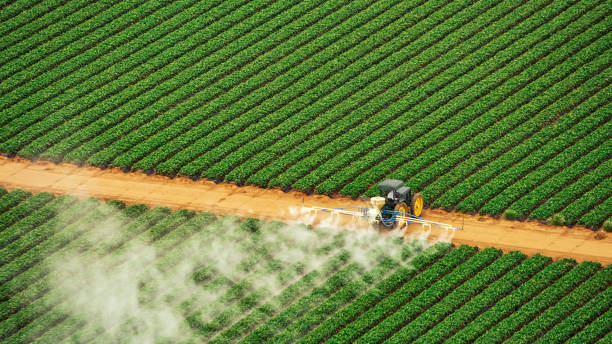 Best Mosquito Control Services  in Quail Ridge, FL