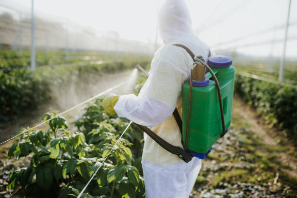 Reliable Quail Ridge, FL Pest Control Solutions